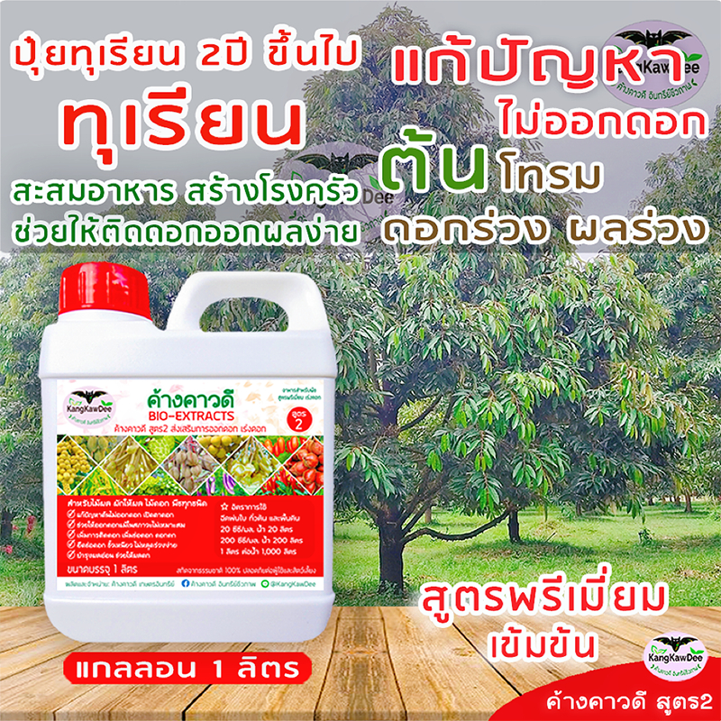 ปุ๋ยทุเรียน2ปี ค้างคาวดีสูตร2(1ลิตร) สะสมอาหาร เตรียมต้นให้พร้อม ช่วยให้ติดดอกง่าย ผลดก F2-1L