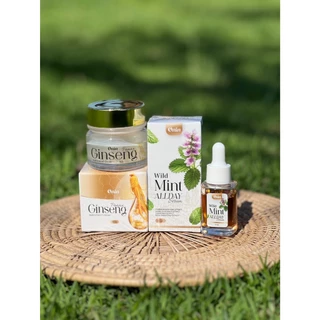 เซ็ตครีมหน้า เซ็ตคู่ เซรั่มใบมินต์ป่าอรอิน และ ครีมโสมอรอิน onin wild mint serum and onin panax ginseng night cream