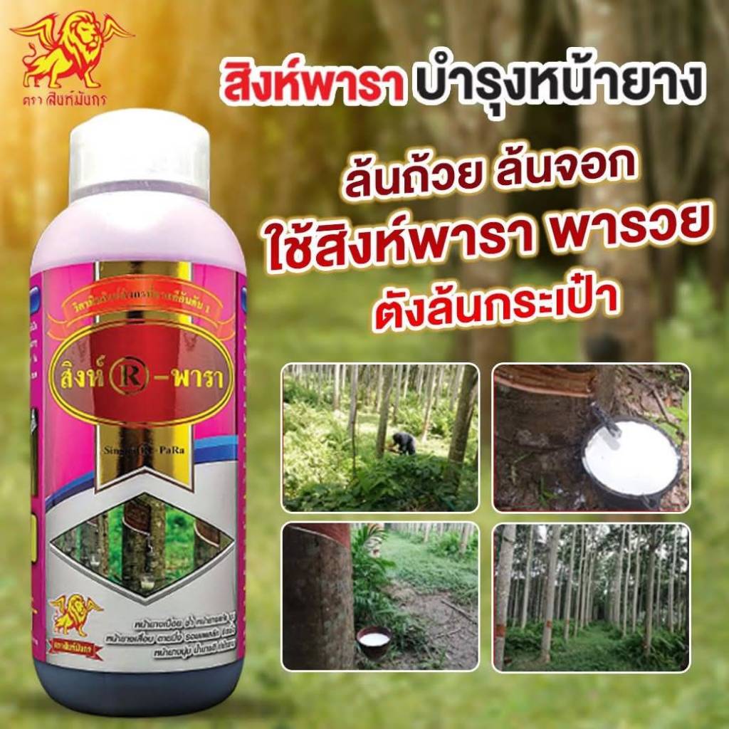 สิงห์พารา ทาหน้ายาง บำรุงน้ำยาง เพิ่ม%น้ำยาง รักษาหน้ายางตาย รักษาเชื้อรา