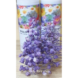 สีสเปรย์พ่นดอกไม้สดสำหรับเปลี่ยนสีดอกไม้มีให้เลือก16เฉดสีขนาด450ml