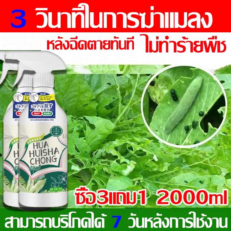 🐞ไม่มีสารเคมีตกค้าง🐞ยากำจัดแมลงพืช 500g ยาฆ่าแมลง ยากำจัดหนอน สารกำจัดแมลง ยาฆ่าแมลงกินใบ ยาฆ่าเพลี้ย ​หนอน มด สว