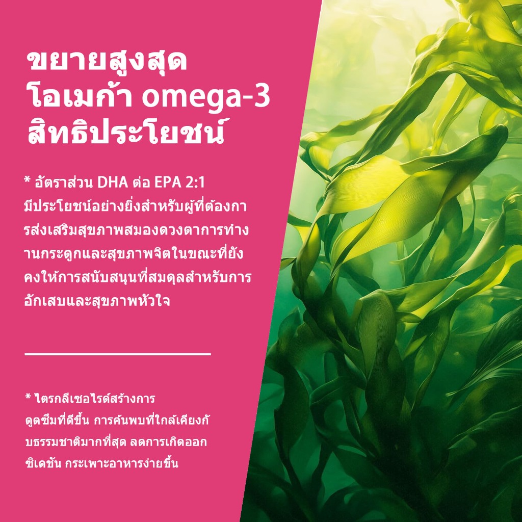 ISNIH Omega 3 Fish Oil Gummies DHA EPA โอเมก้า 3 น้ำมันปลา ช่วยให้สุขภาพหัวใจ สายตา และสมองเหมาะสำหรับทั้งชายและหญิง ราคา ถูกที่สุด ดีลบีเคเค แกลเลอรีภาพที่ 7