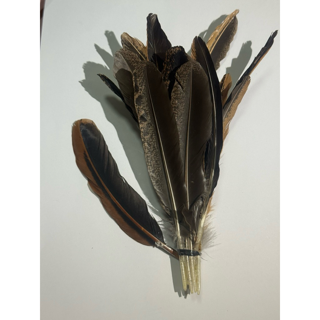 ขนไก่ /ปั่นคอไก่/หรือต่อปีกไก่คละขนาด คละสี สภาพพร้อมใช้งาน20ชิ้น