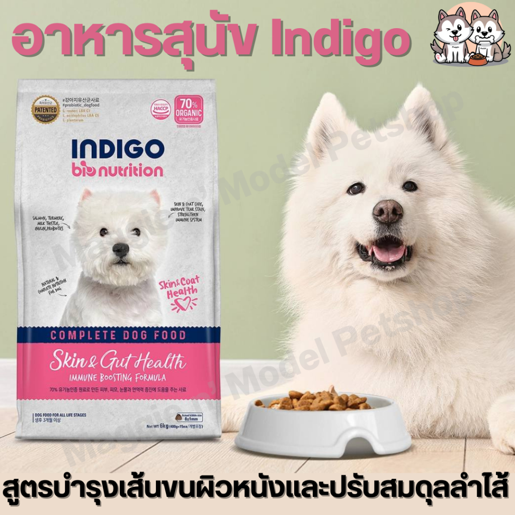 อาหารสุนัข Indigo Skin & Gut Health ช่วยปรับปรุงสภาพผิวหนัง, เส้นขน, ลดคราบน้ำตา และระบบภูมิคุ้มกันข