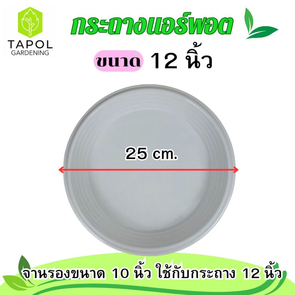 กระถางแอร์พอต ขนาด 9 นิ้ว / 12 นิ้ว กระถางระบายน้ำได้ดี รากแข็งแรง รากไม่เน่า พลาสติกคุณภาพดี ทนทาน น้ำหนักเบา ราคา ถูกที่สุด ดีลบีเคเค แกลเลอรีภาพที่ 8