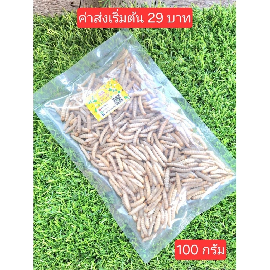 หนอนแว๊กแช่แข็ง ไม่ใส่เกลือ ขนาด 50 ถึง 100 กรัม ส่งห้องเย็น