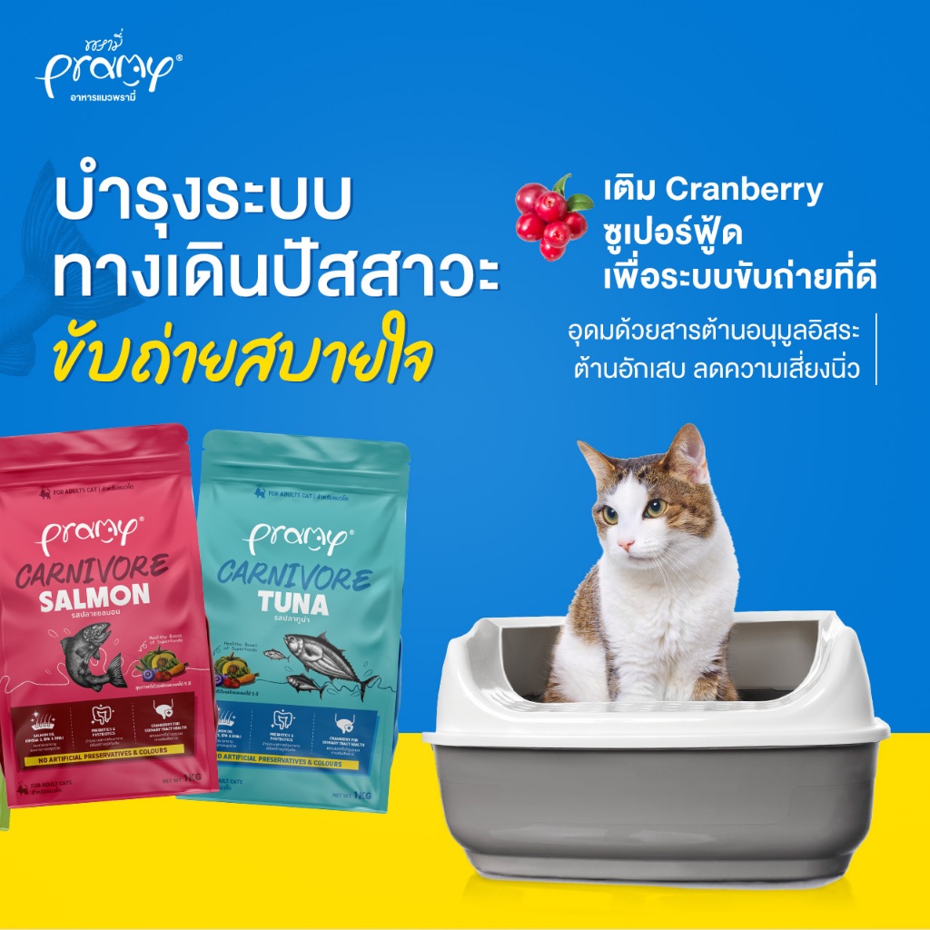 รูปภาพ 6