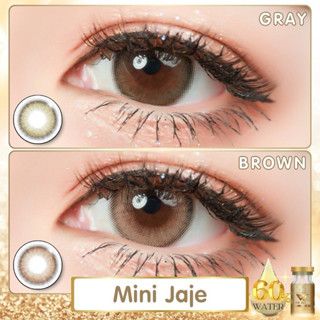 Mini jaje(Wewink) ตาฉ่ำ ขนาดเท่าตาจริง ฝาทองเลนส์มินิ คอนแทค…