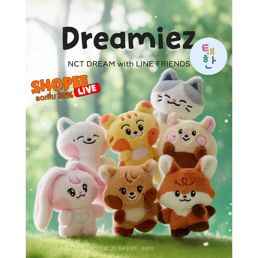 🔥ส่งด่วน ส่งทันที🔥 [NCT DREAM] Dreamiez PLUSH DOLL (NCT DREAM WITH LINE FRIENDS) ตัวเล็ก