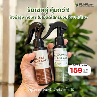 ปุ๋ยบำรุง สำหรับ ไผ่กวนอิม – บำรุง ครบทั้งราก ใบ และลำต้น