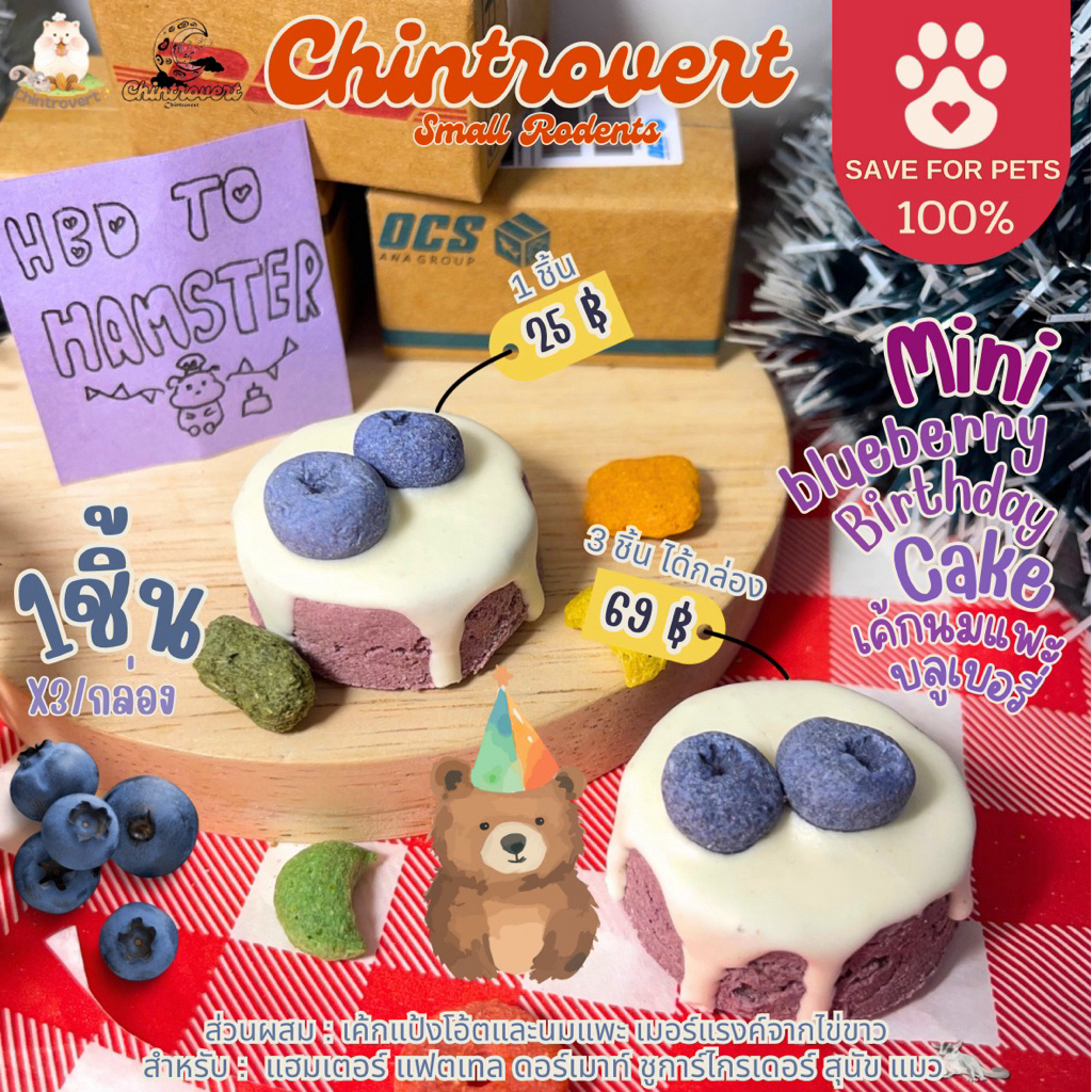 Chintrovert ✨| Happy Birthday Cake blueberry 🎂เค้กวันเกิดหน้าบลูเบอรี่1 ชิ้น | แฮมเตอร์ สัตว์ฟันแทะ