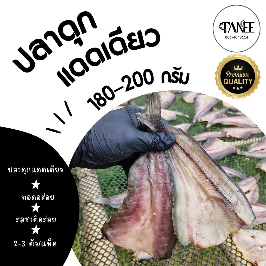ปลาดุกแดดเดียว (แพ็ค2-3 ตัว) 180-200 กรัม ไม่ใส่ผงชูรส ทอดกรอบอร่อย กินกับข้าวอร่อยมาก