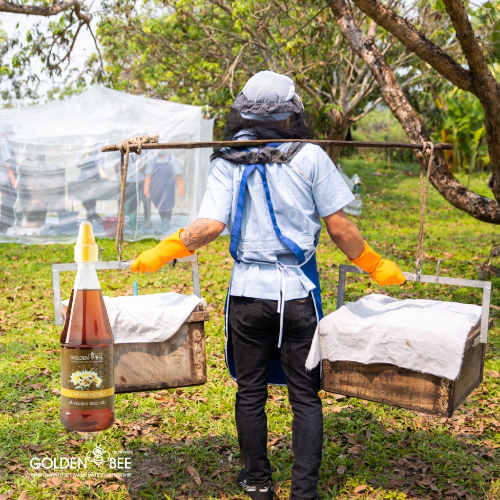 น้ำผึ้งดอกลำไย ขนาด 1,000g. ขวดสะดวกใช้ Longan Honey แบรนด์ Golden Bee - รูปที่ 2