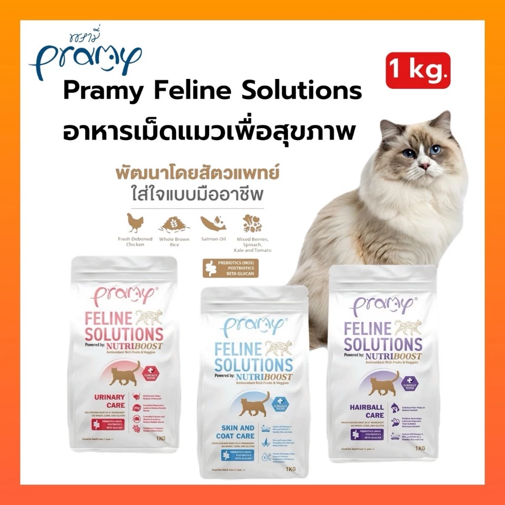 Pramy Feline Solutions อาหารแมวสูตรเฉพาะทาง พัฒนาโดยสัตวแพทย์ ตอบโจทย์น้องแมวที่มีปัญหาสุขภาพ