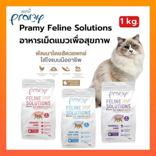Pramy Feline Solutions อาหารแมวสูตรเฉพาะทาง พัฒนาโดยสัตวแพทย์ ตอบโจทย์น้องแมวที่มีปัญหาสุขภาพ