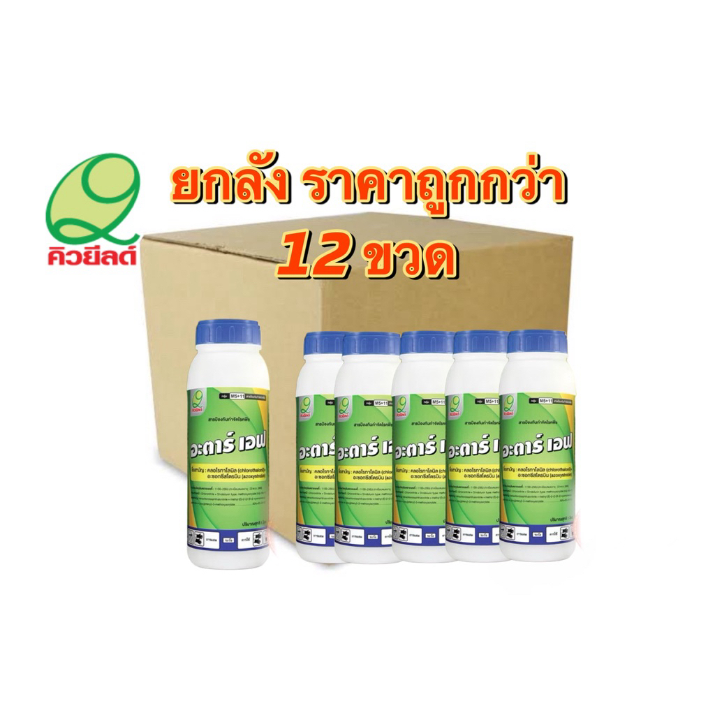 อะตาร์เอฟ คิวยีลด์ ขนาด 1 ลิตร X 12 ขวด (แบบยกลัง) คลอโรทาโลนิล 50%+อะซอกซีสโตรบิน 6% กำจัดเชื้อรา ราคายกลังคุ้มกว่า💯