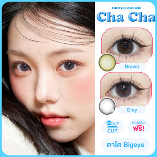 คอนแทคเลนส์ Cha Cha Brown / Gray (Lovely Lens) ขนาดบิ๊กอาย 💙