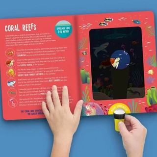 พร้อมส่ง Seek&Find Searchlight Sharks+Dinosaurs Board Book Activity