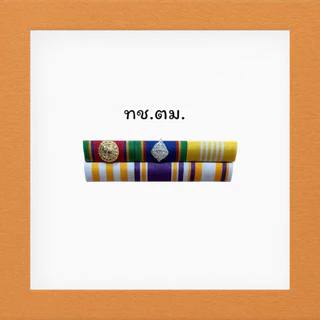 แถบเหรียญย่อประดับเสื้อ ติดเหรียญคู่ ชายและหญิง