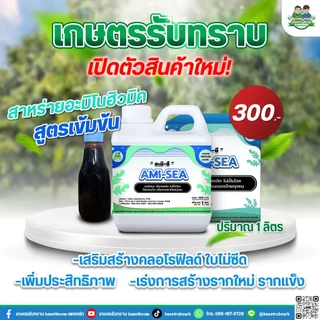 ชุดสี่เกลอ เกษตรรับทราบ เซฟตี้แพลนท์ ไมโครพลัส ไลนิ่งแคล อะมีซี อาจารย์โรจน์ ลดเชื้อราในพืช
