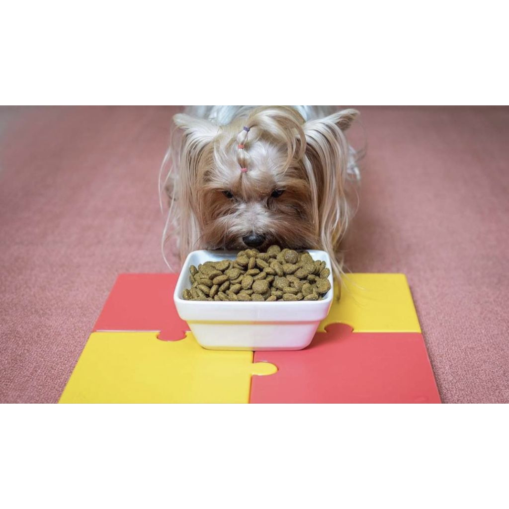 แผ่นรองกันมด  Antpad