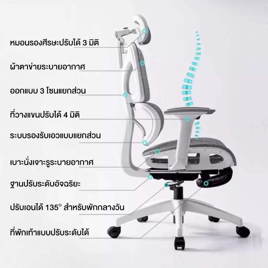 Kris เก้าอี้เพื่อสุขภาพ เก้าอี้ตามหลักสรีรศาสตร์ รุ่นเข้า รุ่น L203 สไตล์ราคาประหยัด รับประกัน 3ป อะไหล่ทดแทนฟรี thumbnail 7