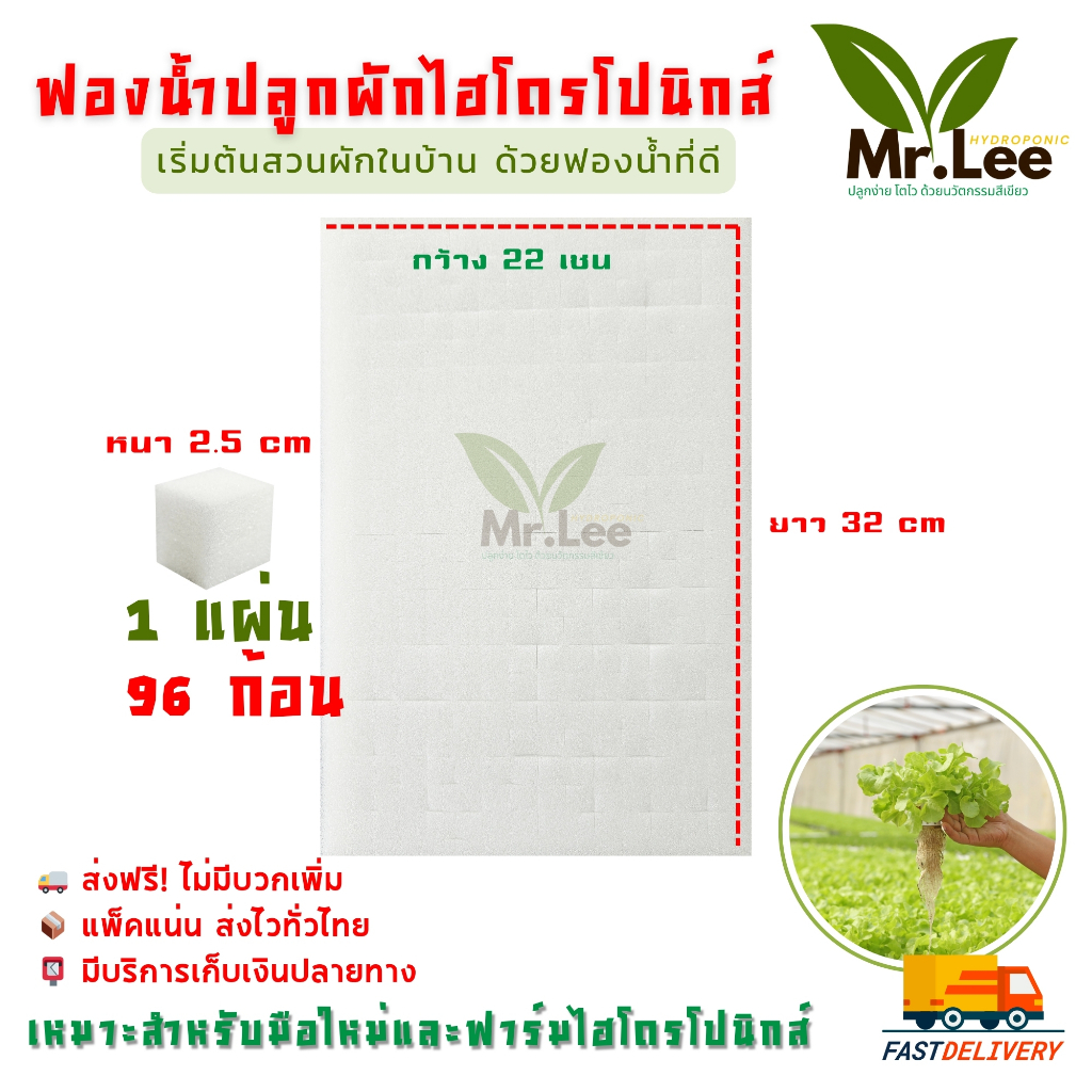 (แพ็ค 100 แผ่น) ฟองน้ำปลูกผักไฮโดรโปนิกส์ Hydroponic Sponge สำหรับเพาะเมล็ดผักสลัด (แพ็ค 100 แผ่น)
