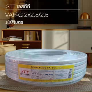 STT เอสทีที VAF-G 2x2.5/2.5 (50เมตร ,90เมตร ,100เมตร)