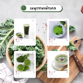ผงผักเคล ออร์แกนิค ขนาด 100 กรัม ( Organic Kail Powder )