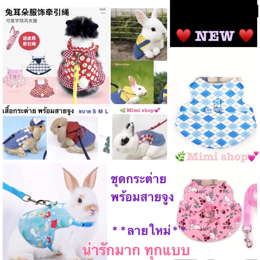 ลายใหม่ -พร้อมส่ง ***เสื้อกระต่ายพร้อมสายจูง น่ารักมากๆ