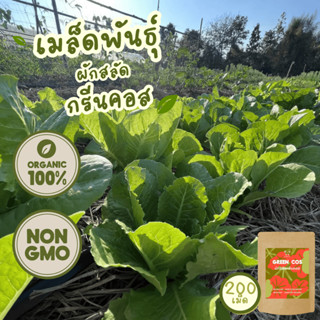 เมล็ดพันธุ์ ผักสลัด กรีนคอส 100% ออร์แกนิค Non-GMO (Green Co…