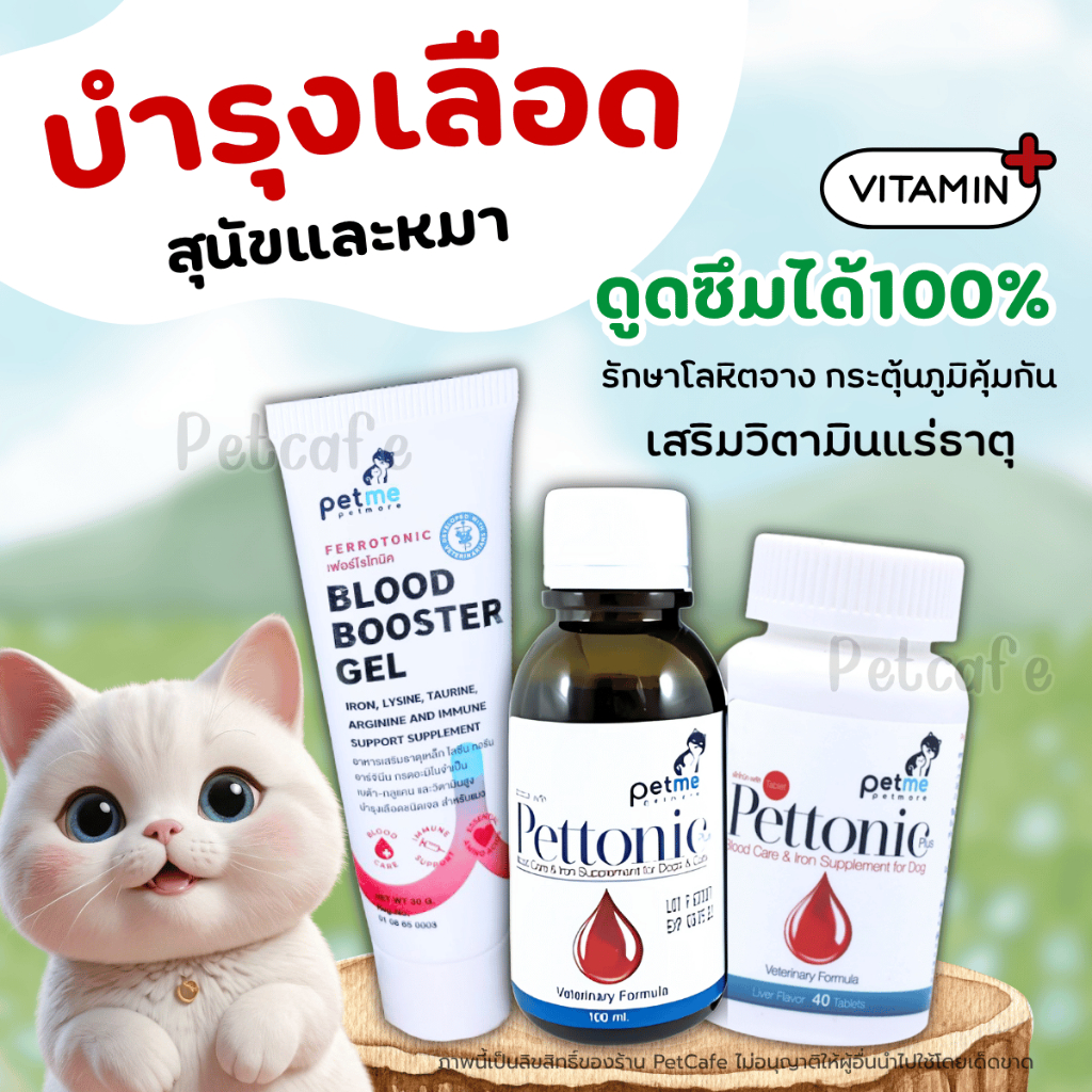 บำรุงเลือด สุนัขและแมว Pettonic Plus วิตามินเสริมธาตุเหล็ก บำรุงเลือด ทานง่าย ไม่ทำลายตับ Petme