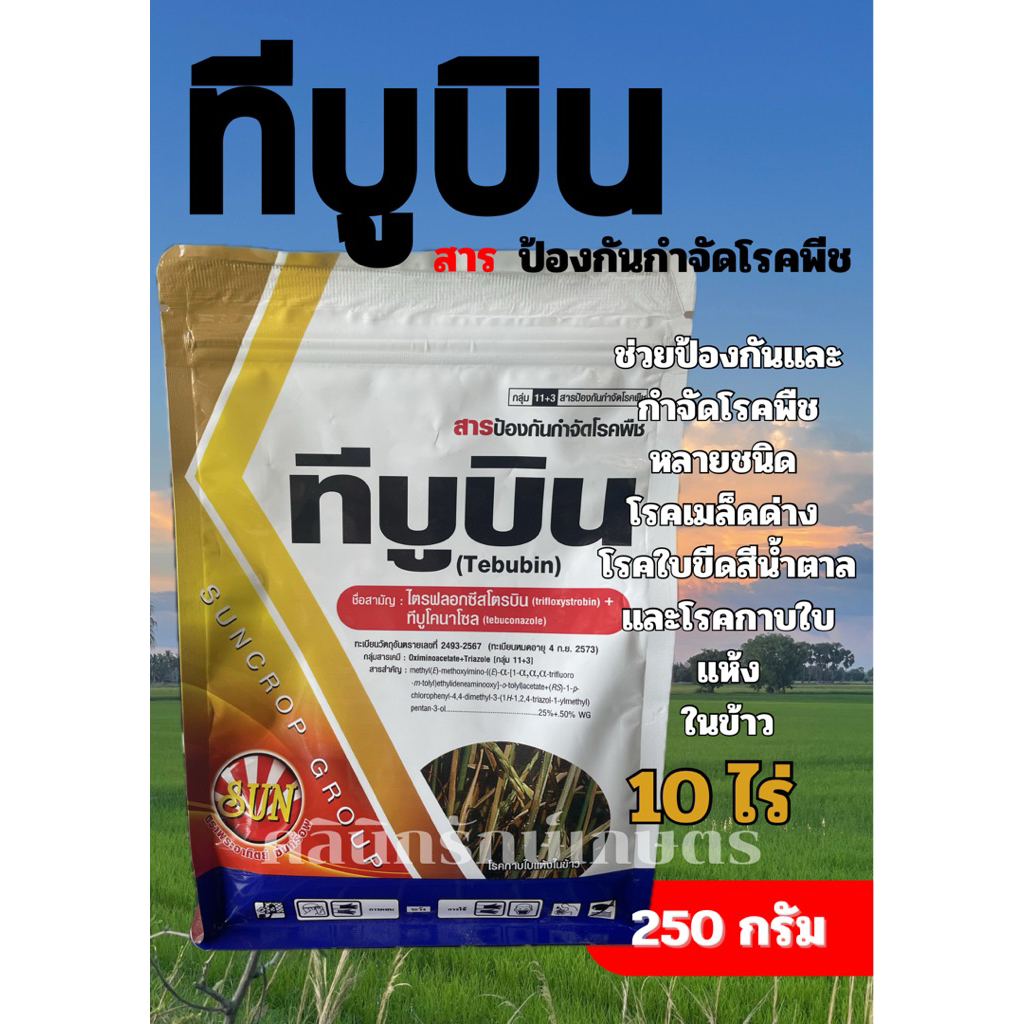 สารป้องกัน กำจัดโรคเชื้อราในนาข้าว ทีบูบิน 250 กรัมใช้ได้ 10 ไร่