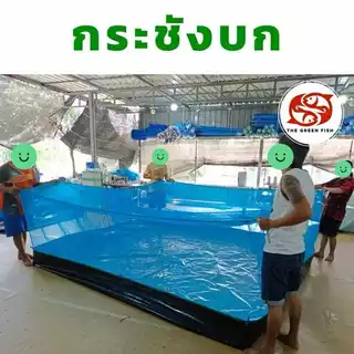 ส่งฟรี- กระชังบก ความสูงผ้ายาง 50 ซม. ต่อมุ้งฟ้า เลี้ยงปลา กบ หอย ปู หนา 0.3 mm ผลิตจากโรงงานโดยตรง