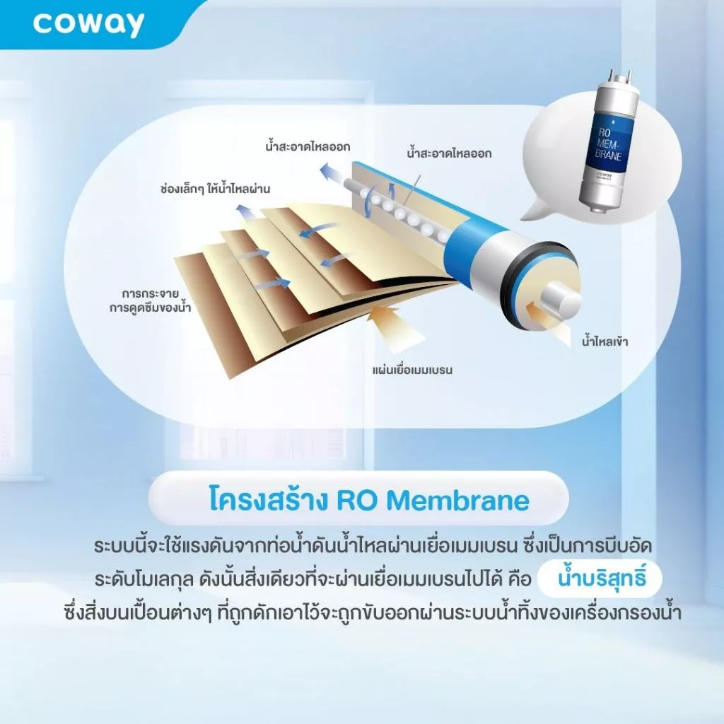 เครื่องกรองน้ำ Coway รุ่น Cinnamon thumbnail 9