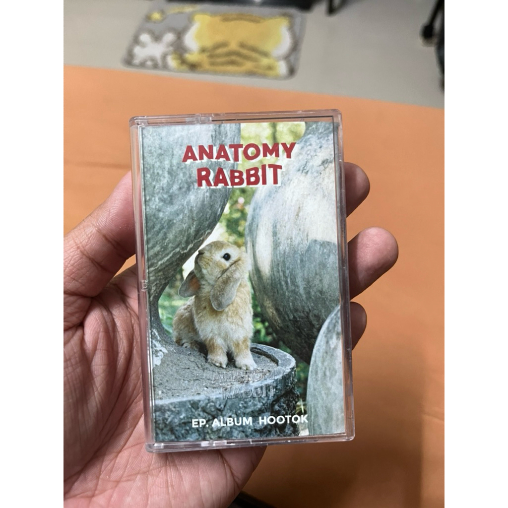 เทป Anatomy rabbit hootok