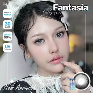 🔥คอนแทคเลนส์✨ขนาดมินิ✨Fantasia ( ilens )✨Brown/Gray