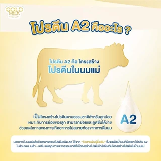 นมโกลด์มิลค์เกิร์นซี่ย์ ( 2ลัง )