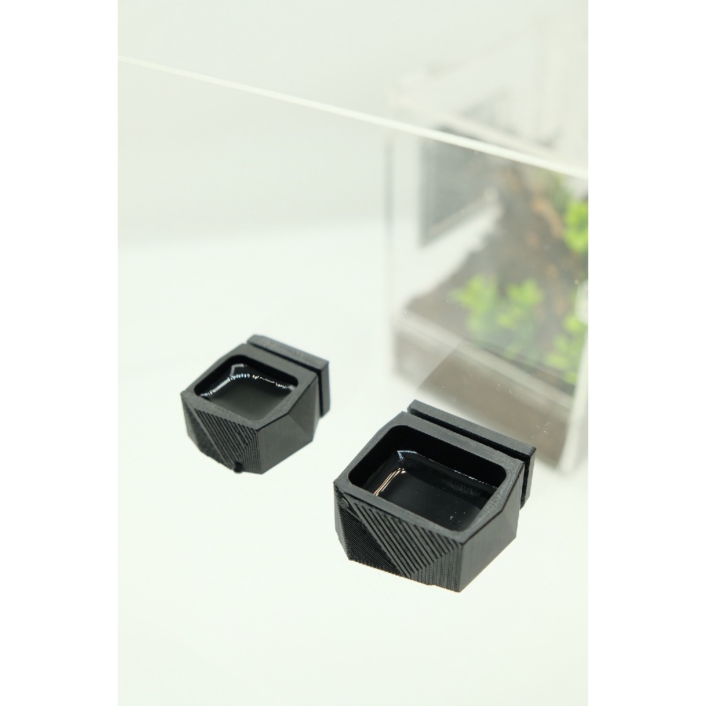 Rockpool_ถ้วยน้ำแมงมุม