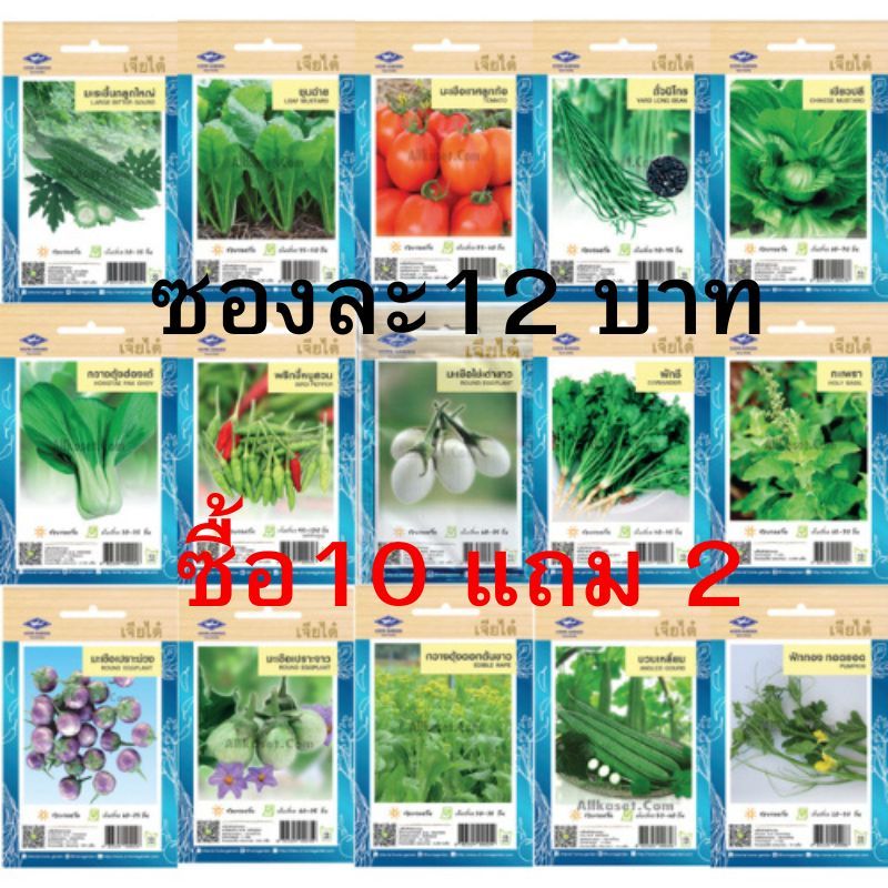 รูปภาพ 3