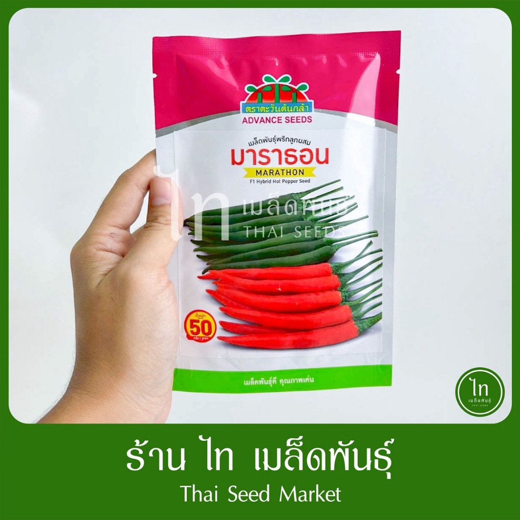 พริก มาราธอน พริกขี้หนู พริกจินดา เมล็ดพันธุ์ พริก ลูกผสม ตรา ตะวันต้นกล้า บรรจุ 50 กรัม