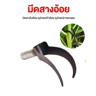 มีดสางใบอ้อย เป็นเครื่องมือที่จะช่วยทำการสางใบอ้อยได้อย่างสะดวกและรวดเร็ว   สามารถลดการขาดแคลนแรงงานในการเก็บอ้อยสด