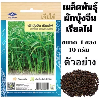 เมล็ดพันธ์ ผักบุ้งจีนเรียวไผ่ เจียไต๋