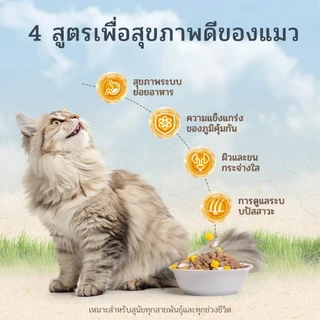 【🎁โปรไบโอติกส์ฟรี】VEV 🐈 แบ่งขาย 1 kg. Premium Cat Food Gluten Free