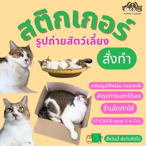 สติ๊กเกอร์รูปถ่ายสัตว์เลี้ยง สติ๊กเกอร์สั่งทำ แบบเซตหรือคละรูป ส่งรูปในแชท ทางร้านไดคัทให้ สติกเกอร์หมาแมว