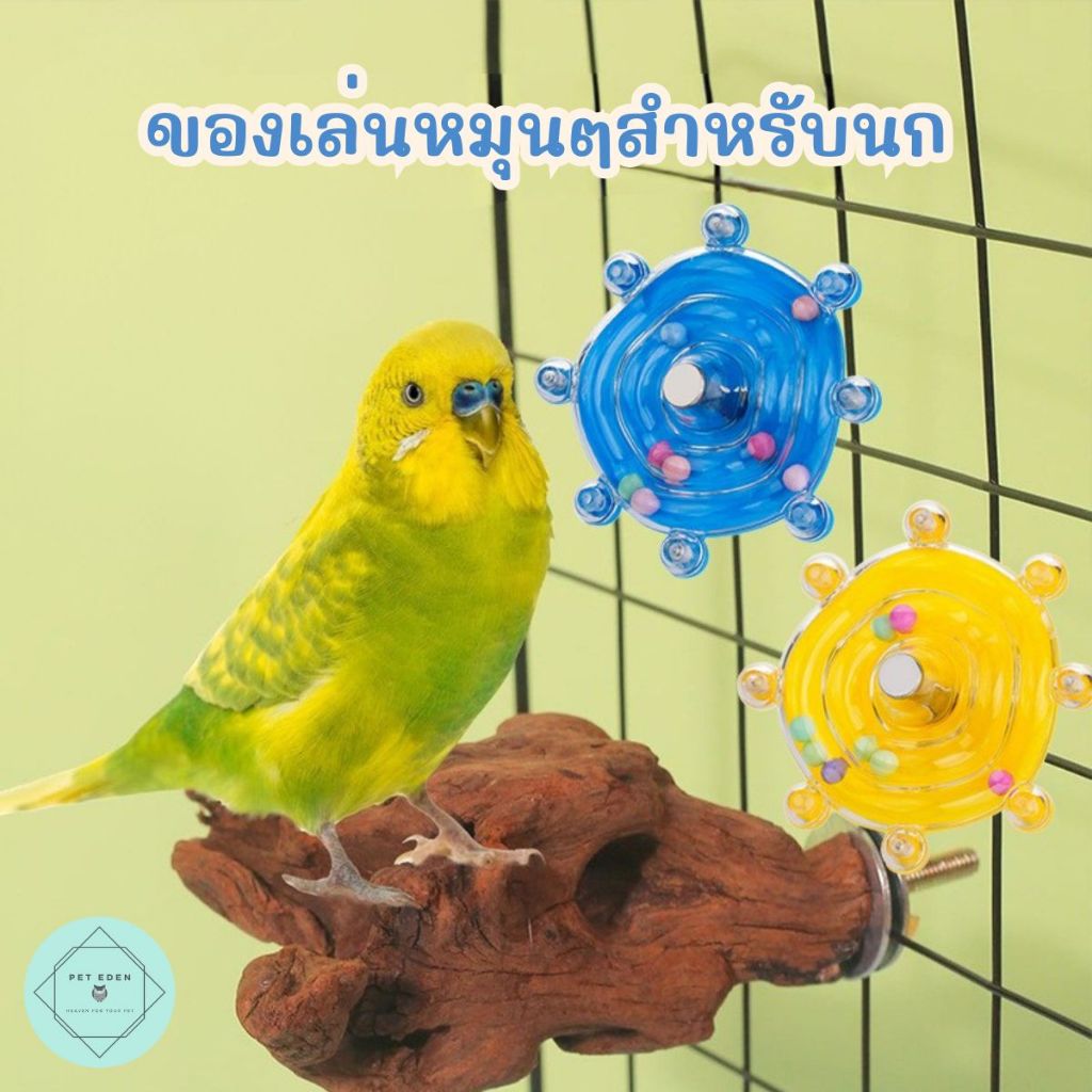 ของเล่นนกหมุนๆ เสริมสร้างสติปัญญา Bird Spinning Toy ค็อกคาเทล ซันคอนัวร์ ฟอพัส เกรย์ แก้วมาคอร์