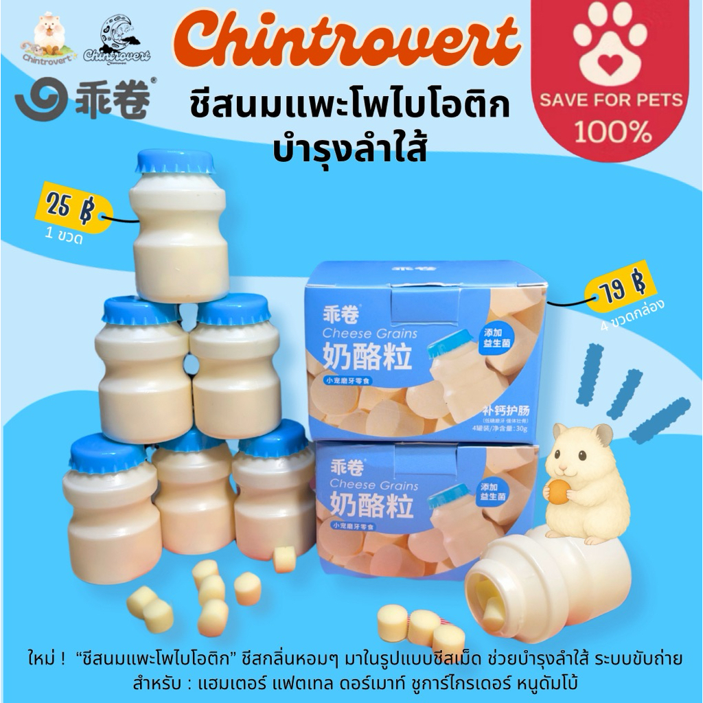 Chintrovert ⭐️| Guaiguan ชีสยาคูลโพไบโอติก บำรุงลำไส้ | แฮมเตอร์ แฟตเทล ดอร์เมาท์ ชูการ์ไกรเดอร์ หนูดัมโบ้