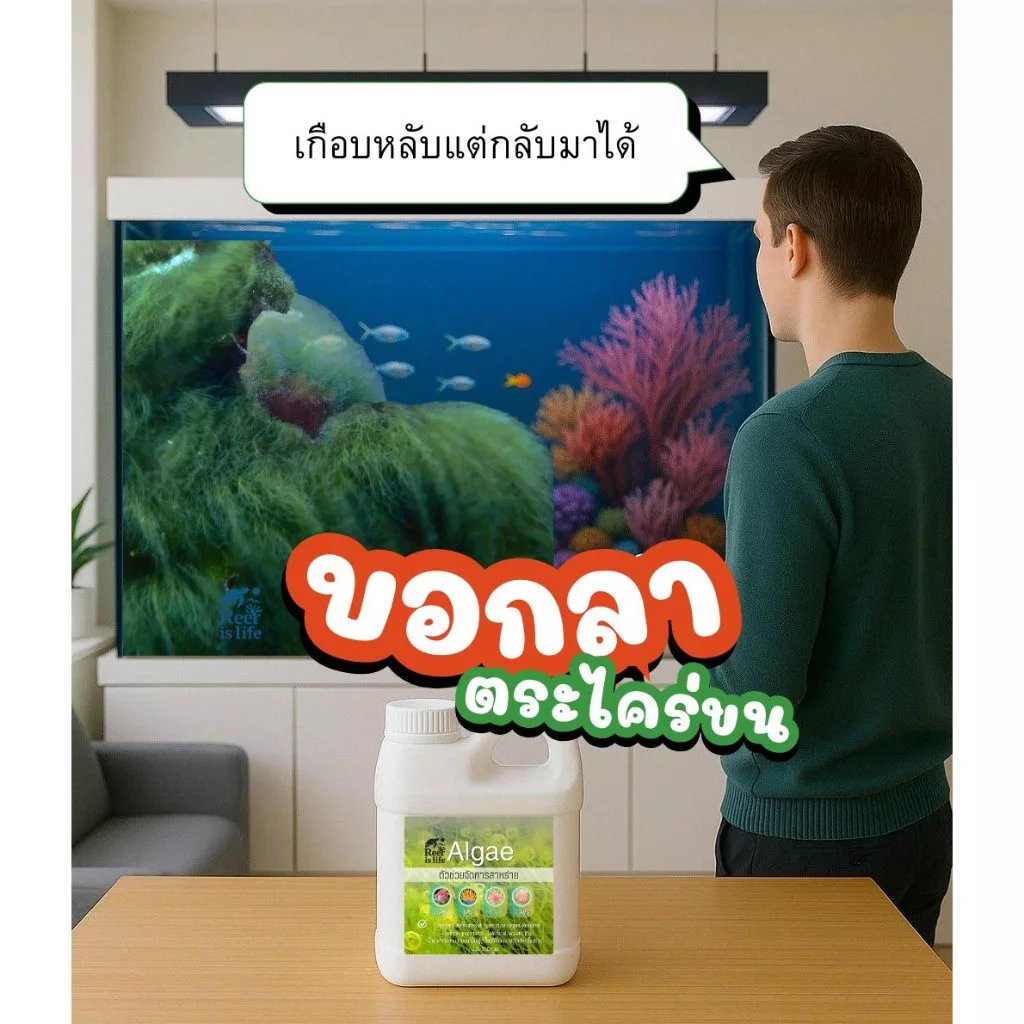 Remove Algae น้ำยากำจัดตระไคร่ สำหรับตู้ปลาทะเล thumbnail 6