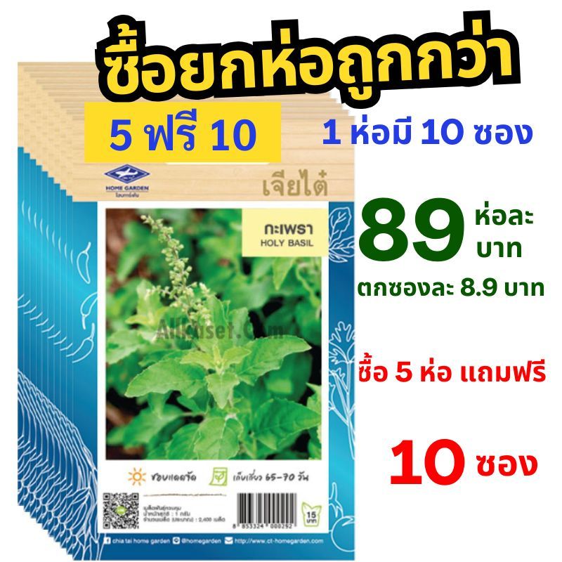 เมล็ดพันธุ์ กะเพรา ยกห่อ (10 ซอง) ซื้อ 5 ห่อ แถมฟรี 10 ซอง