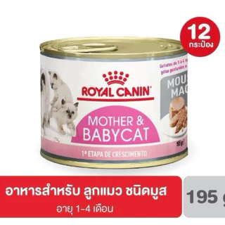 [เฉพาะส่งด่วน] ROYAL CANIN อาหาร BABYCAT CAN เนื้อมูส 195กรัม 12 กระป๋อง